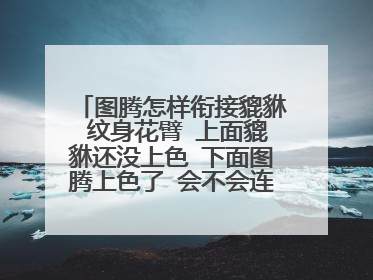 图腾怎样衔接貔貅 纹身花臂 上面貔貅还没上色 下面图腾上色了 会不会连不起来 怎么衔接好???