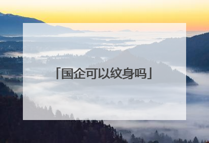 国企可以纹身吗