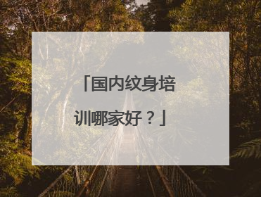 国内纹身培训哪家好？