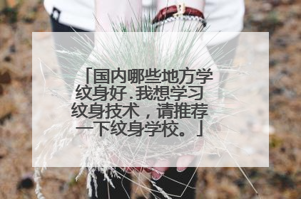 国内哪些地方学纹身好.我想学习纹身技术，请推荐一下纹身学校。