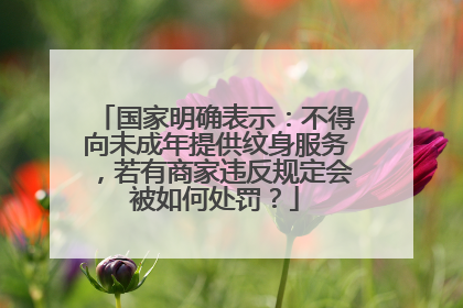 国家明确表示：不得向未成年提供纹身服务，若有商家违反规定会被如何处罚？