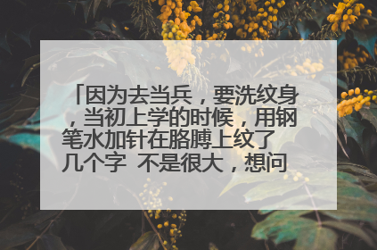 因为去当兵，要洗纹身，当初上学的时候，用钢笔水加针在胳膊上纹了 几个字 不是很大，想问一次可以洗掉吗