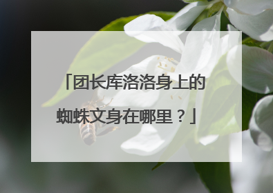 团长库洛洛身上的蜘蛛文身在哪里？