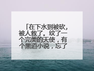 在下水到被砍,被人救了。纹了一个完美的天使，有个黑道小说，忘了什么名字了，