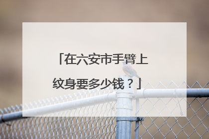 在六安市手臂上纹身要多少钱？