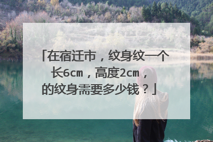 在宿迁市，纹身纹一个长6cm，高度2cm，的纹身需要多少钱？