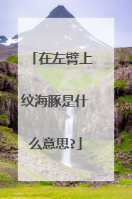 在左臂上纹海豚是什么意思?