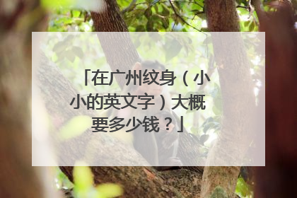 在广州纹身（小小的英文字）大概要多少钱？