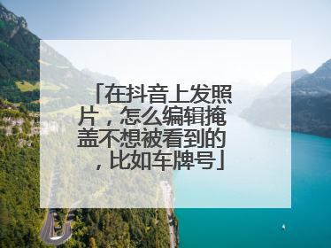 在抖音上发照片，怎么编辑掩盖不想被看到的，比如车牌号