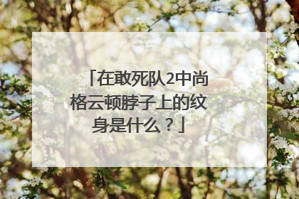 在敢死队2中尚格云顿脖子上的纹身是什么？