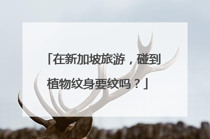 在新加坡旅游，碰到植物纹身要纹吗？