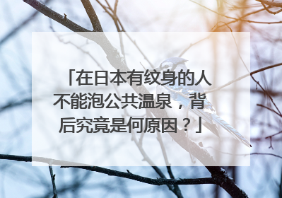 在日本有纹身的人不能泡公共温泉,背后究竟是何原因?