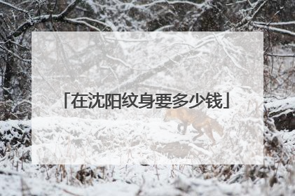 在沈阳纹身要多少钱