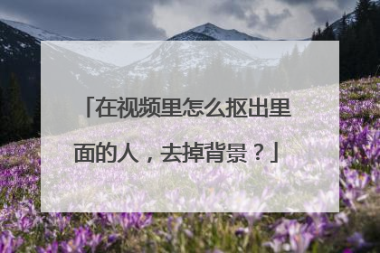 在视频里怎么抠出里面的人，去掉背景？