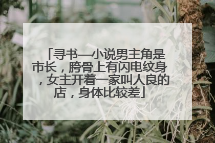 寻书——小说男主角是市长，胯骨上有闪电纹身，女主开着一家叫人良的店，身体比较差
