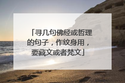寻几句佛经或哲理的句子，作纹身用，要藏文或者梵文