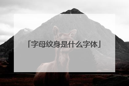 字母纹身是什么字体