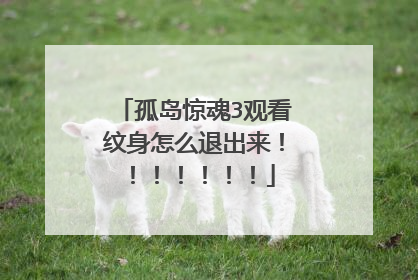 孤岛惊魂3观看纹身怎么退出来！！！！！！！
