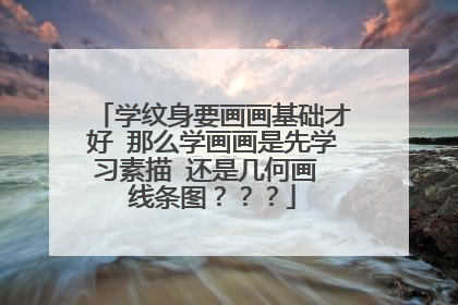 学纹身要画画基础才好 那么学画画是先学习素描 还是几何画 线条图？？？
