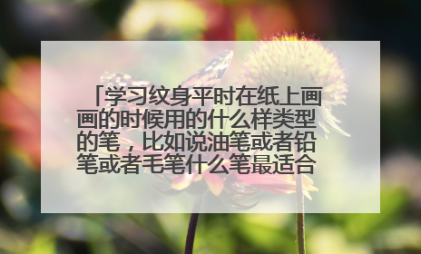 学习纹身平时在纸上画画的时候用的什么样类型的笔，比如说油笔或者铅笔或者毛笔什么笔最适合，用哪种笔练