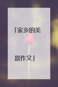 家乡的美景作文