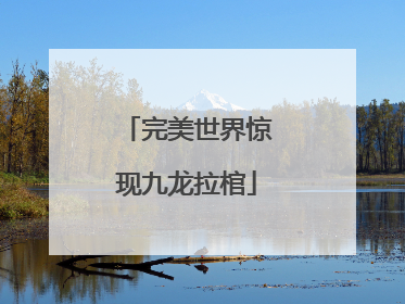 完美世界惊现九龙拉棺