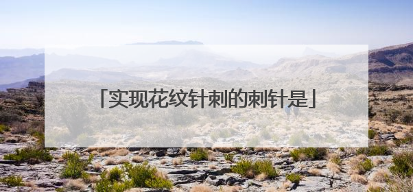 实现花纹针刺的刺针是