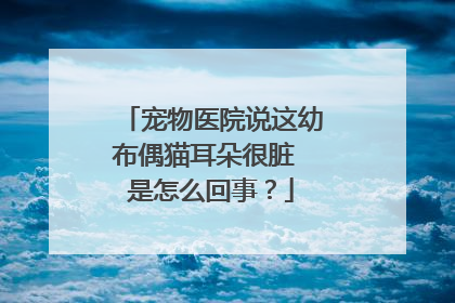 宠物医院说这幼布偶猫耳朵很脏 是怎么回事？