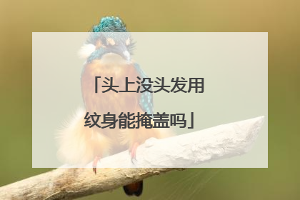 头上没头发用纹身能掩盖吗