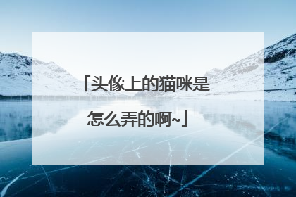 头像上的猫咪是怎么弄的啊~