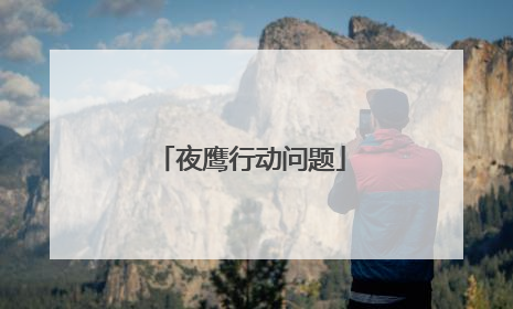 夜鹰行动问题