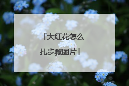 大红花怎么扎步骤图片