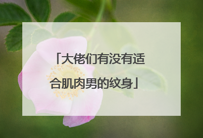 大佬们有没有适合肌肉男的纹身