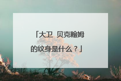 大卫 贝克翰姆的纹身是什么？