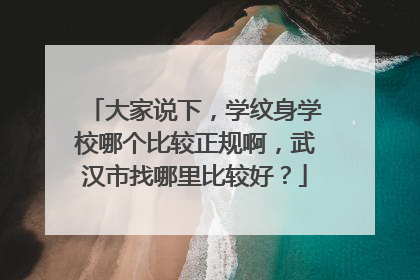 大家说下，学纹身学校哪个比较正规啊，武汉市找哪里比较好？