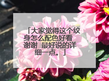 大家觉得这个纹身怎么配色好看 谢谢 最好说的详细一点。