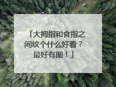 大拇指和食指之间纹个什么好看？最好有图！