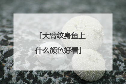 大臂纹身鱼上什么颜色好看