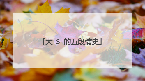 大 S 的五段情史