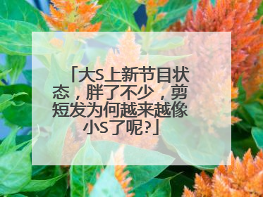 大S上新节目状态，胖了不少，剪短发为何越来越像小S了呢?