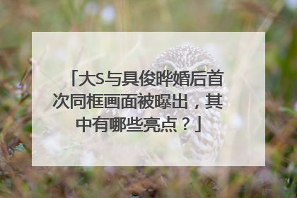 大S与具俊晔婚后首次同框画面被曝出，其中有哪些亮点？