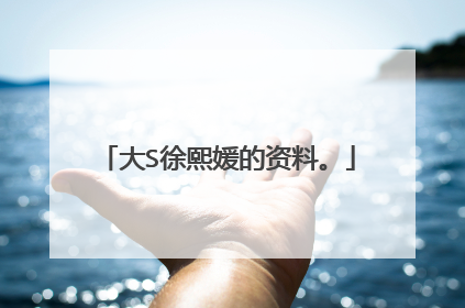 大S徐熙媛的资料。