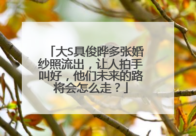 大S具俊晔多张婚纱照流出，让人拍手叫好，他们未来的路将会怎么走？