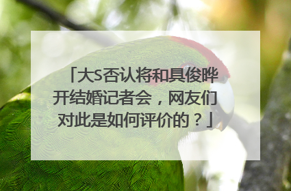 大S否认将和具俊晔开结婚记者会，网友们对此是如何评价的？