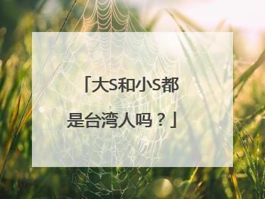大S和小S都是台湾人吗？