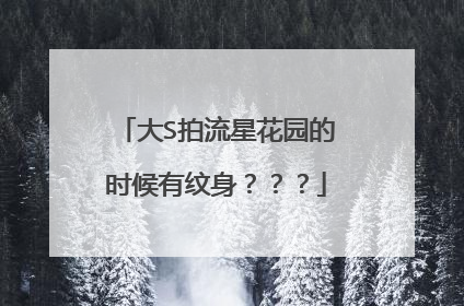 大S拍流星花园的时候有纹身？？？