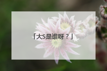 大S是谁呀？