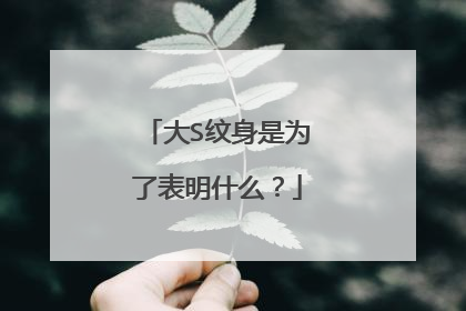 大S纹身是为了表明什么？