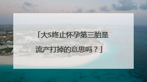 大S终止怀孕第三胎是流产打掉的意思吗？