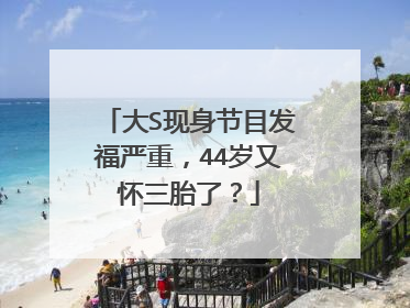 大S现身节目发福严重，44岁又怀三胎了？